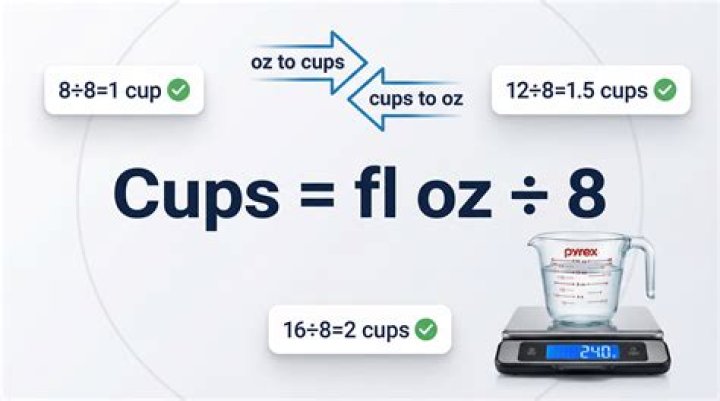 16.9 Fl Oz To Cups KyhlaAghilas