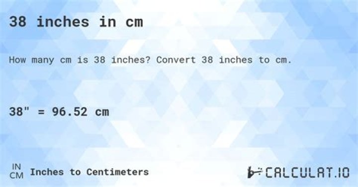3.38 inches in cm