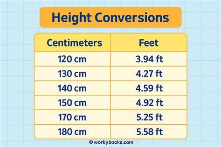 58 cm to feet 58 cm in feet
