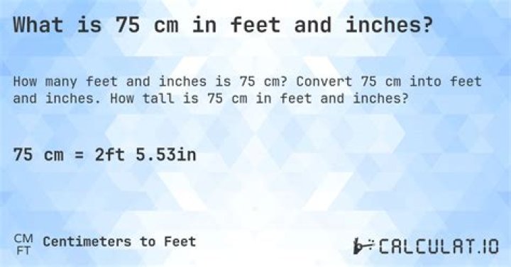 75 cm to feet 75 cm in feet