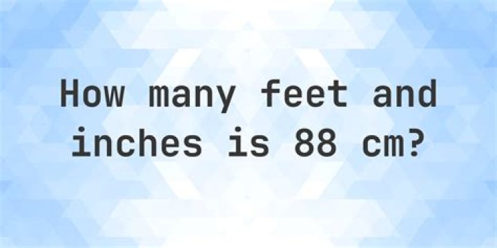 88 cm to feet 88 cm in feet