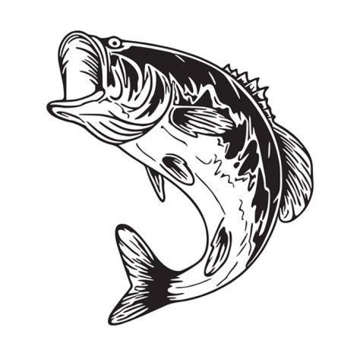 A large black fish from Fishing Clan