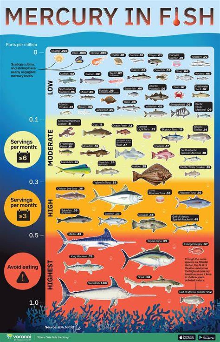 Are clams high in mercury?