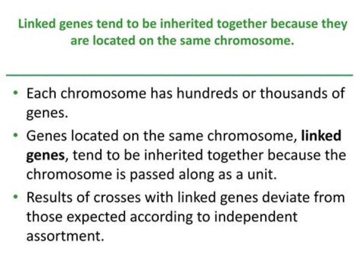 Are Linked genes always inherited together?