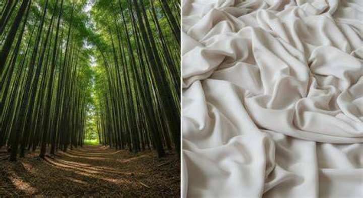 Are viscose and bamboo the same?