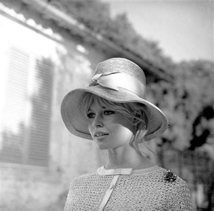 brigitte bardot bolso chanel