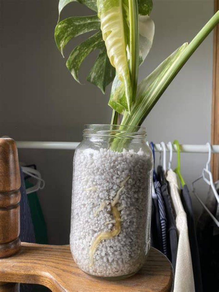 Can you bake perlite to sterilize?