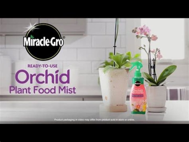 Can you use regular Miracle Grow on orchids?