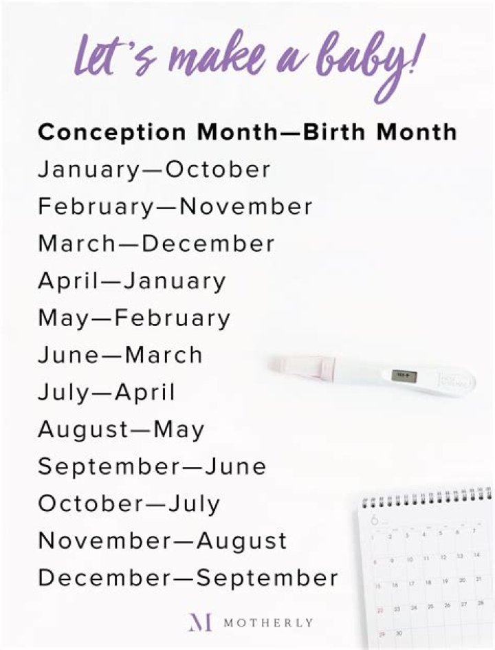 Conception calculator and how to use it Try my price online
