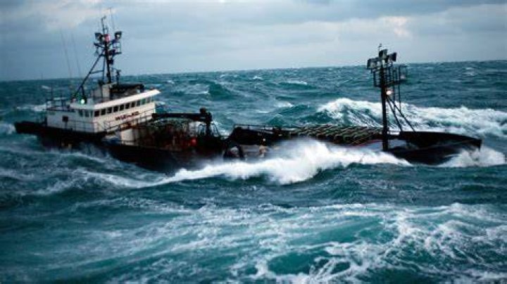 Deadliest Catch's Josh Harris fired after it's discovered he sexually