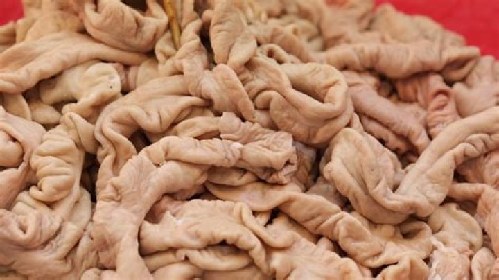Do chitlins have poop in them?