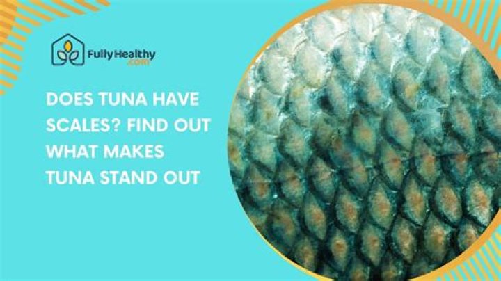 Do tuna fish have scales?