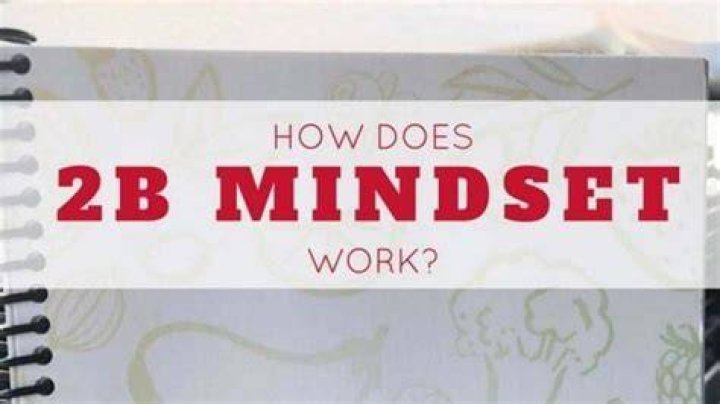 Does 2B mindset have an app?