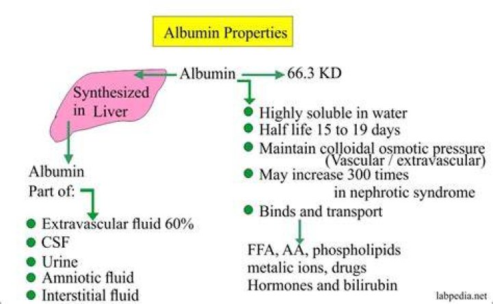 Does albumin need filter?