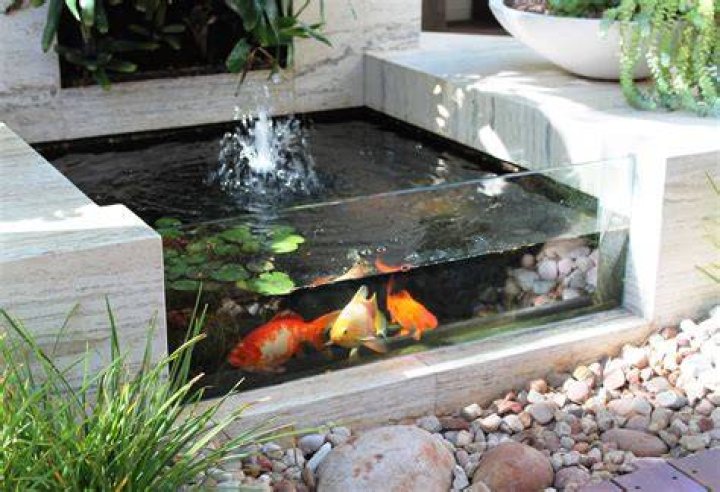 Fish Pond Design in 2021 Stardew valley, Stardew valley farms