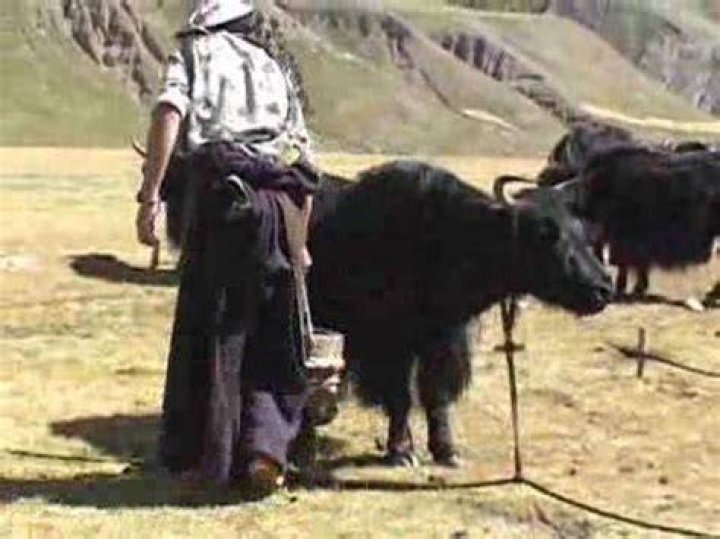 FRONTLINE/World | Tibet: Eye Camp