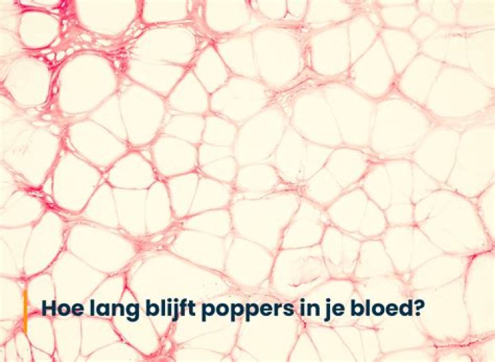 Hoe Lang Blijft Suiker In Je Bloed? (Solution found)