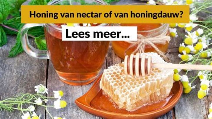 Hoe Ontsuiker Je Honing? (Question)