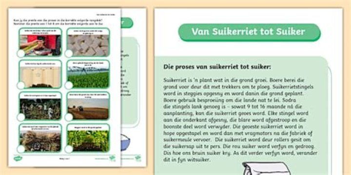 Hoe Word Suiker Gemaak? (Question)