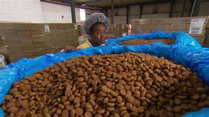 Hoe Worden Chocolade Pepernoten Gemaakt? (Solution found)