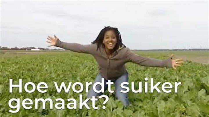 Hoe Wordt Suiker Gemeten? (Perfect answer)