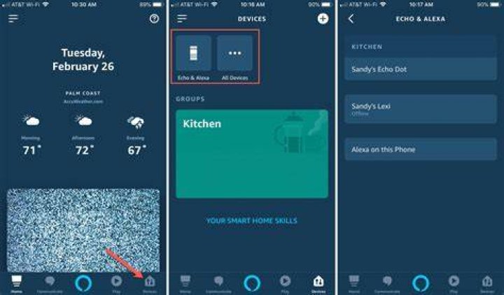 How do I check for Alexa updates?