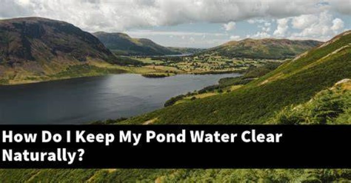 How do I keep my waterfall clear?