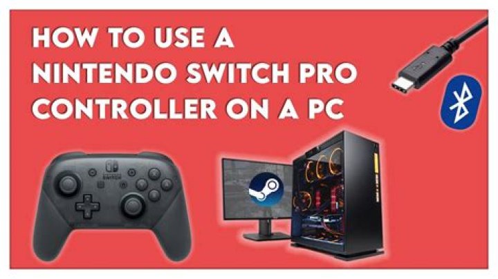 How do I set up my Nintendo switch wired controller?