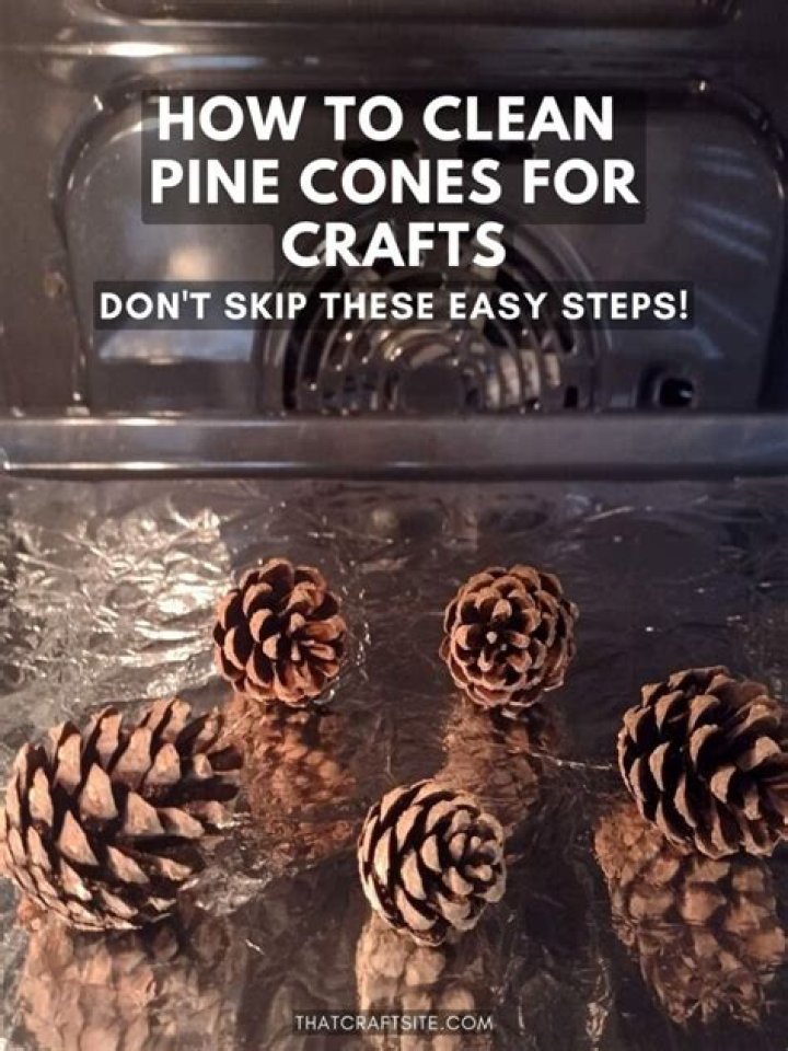 How do you clean dust off pine cones?