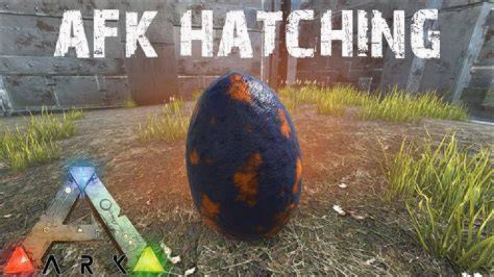 How do you hatch a Bronto egg in Ark?