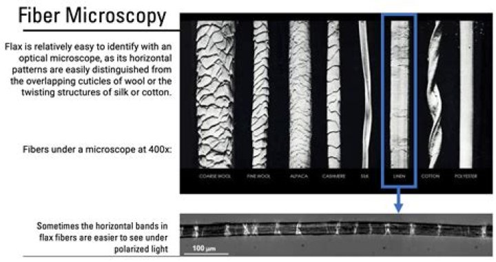 How do you identify fibers under a microscope?