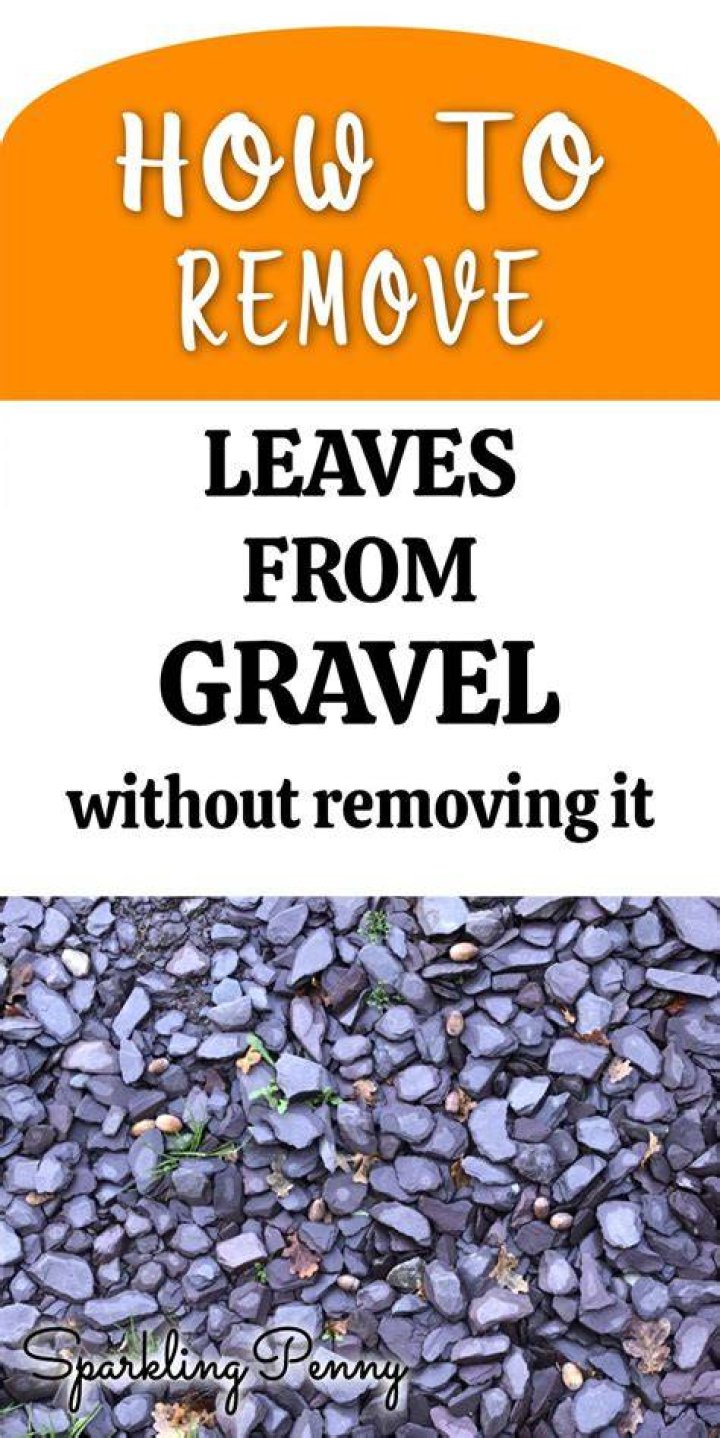 How do you keep gravel leaves clean?
