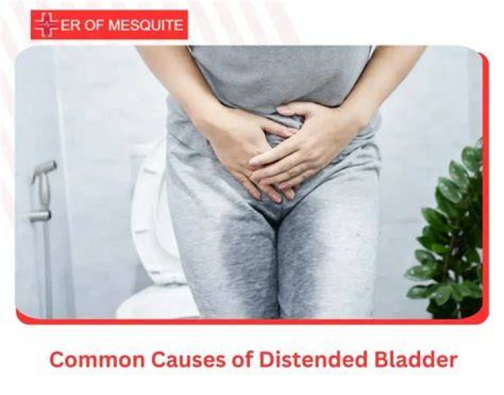 How do you know if your bladder is distended?