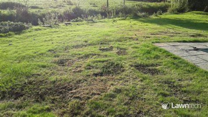How do you level uneven grass spots?