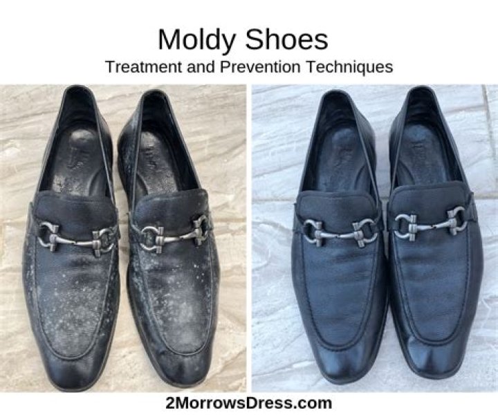 How do you prevent mold on shoes?