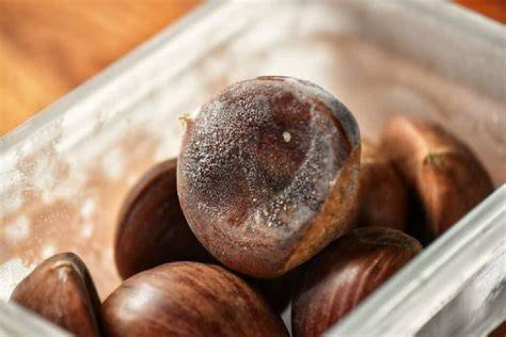 How do you store chestnuts long term?