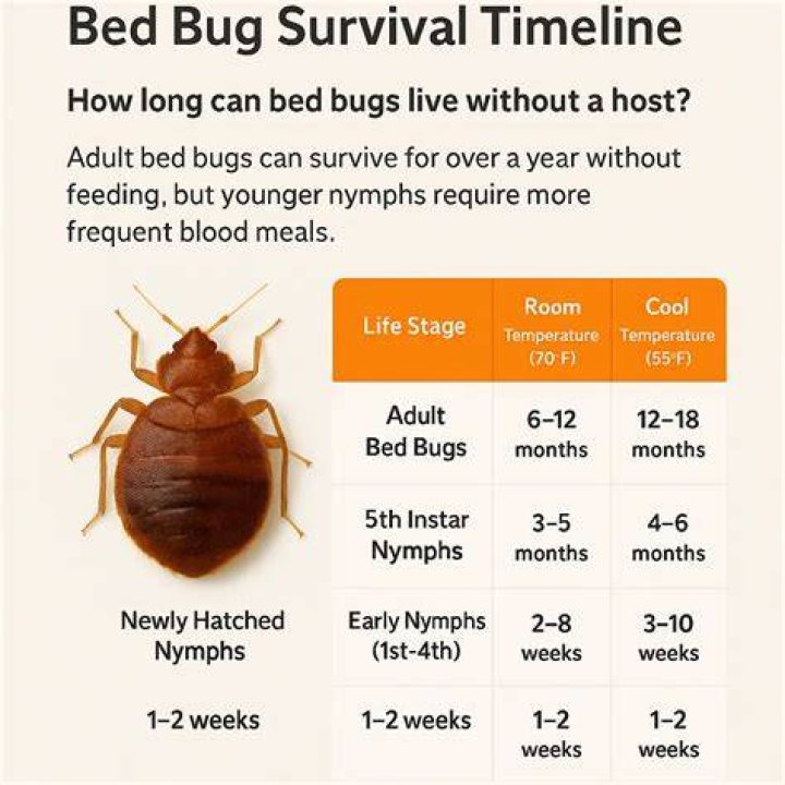 How long do bat bugs live without a host?