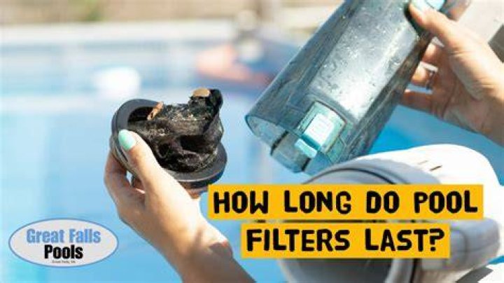 How long do dolphin filters last?