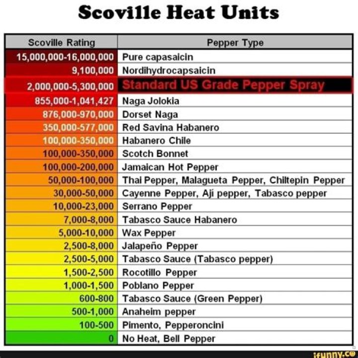 How Many Scovilles Is Tabasco Sauce? (Question)