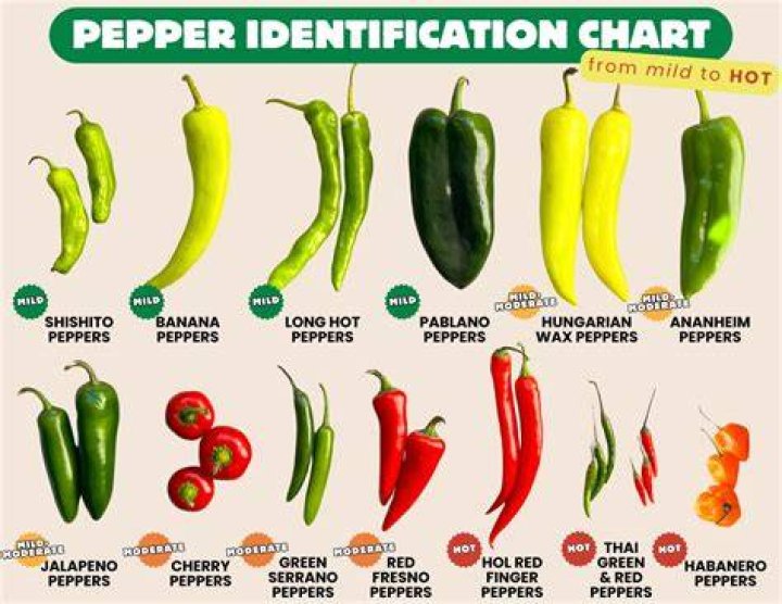 How Many Sriracha Peppers To Make A Ghost? (Perfect answer)