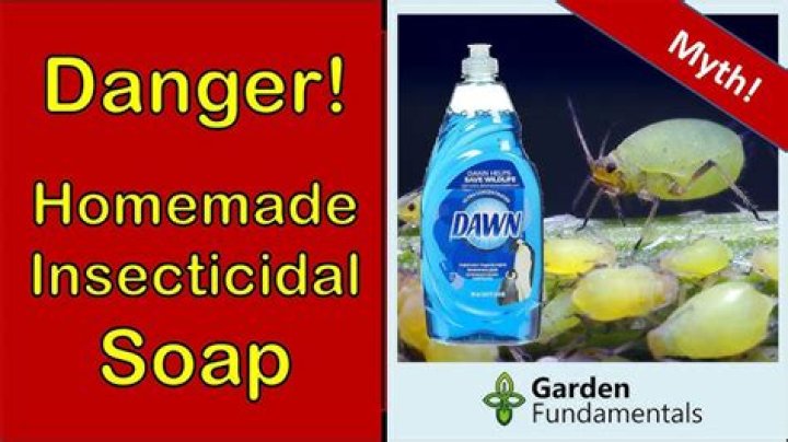 How much Dawn do I use for insecticidal soap?