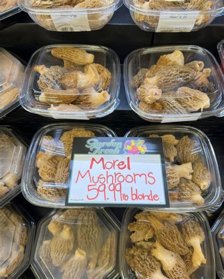 How much do morel mushrooms sell for?