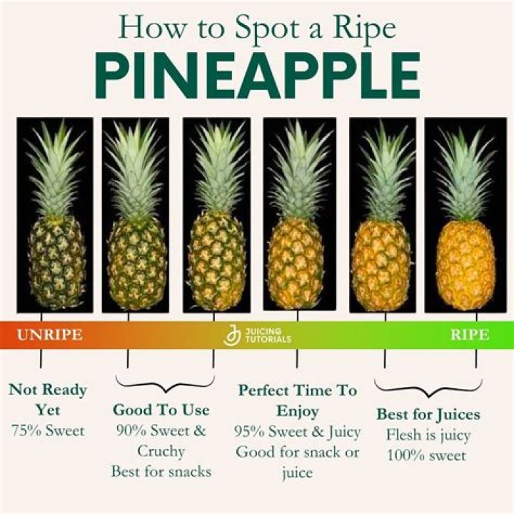 How Ro Tel When A Pinapple In Ripe? (Question)