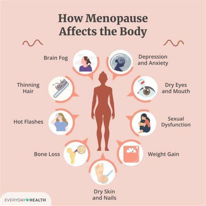 How The Body Ovalates In Peri Menopause? (Solved)