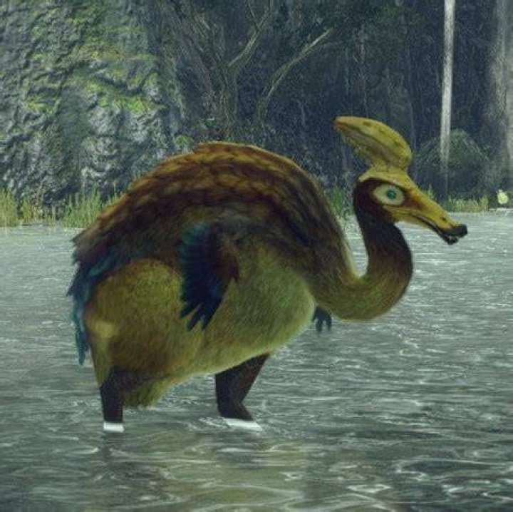 How to Get Gargwa Eggs and Deliver Them Without Breaking