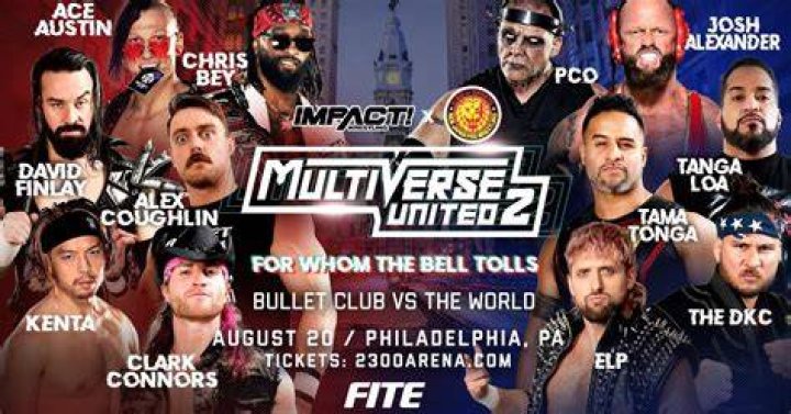 IMPACT Multiverse United 2 Bullet Club
