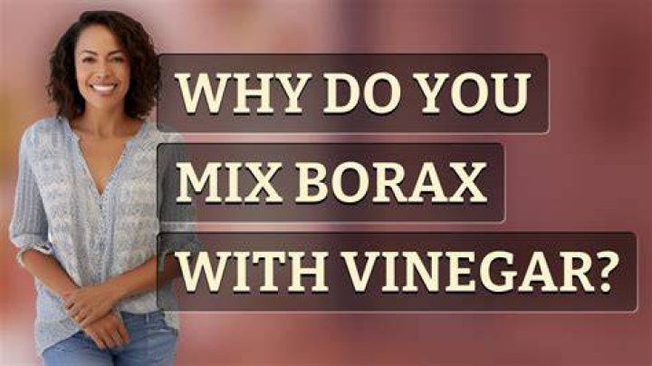 Is borax and vinegar safe?