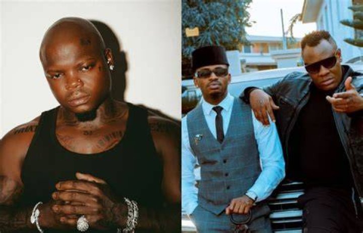 Is Diamond brother to harmonize?