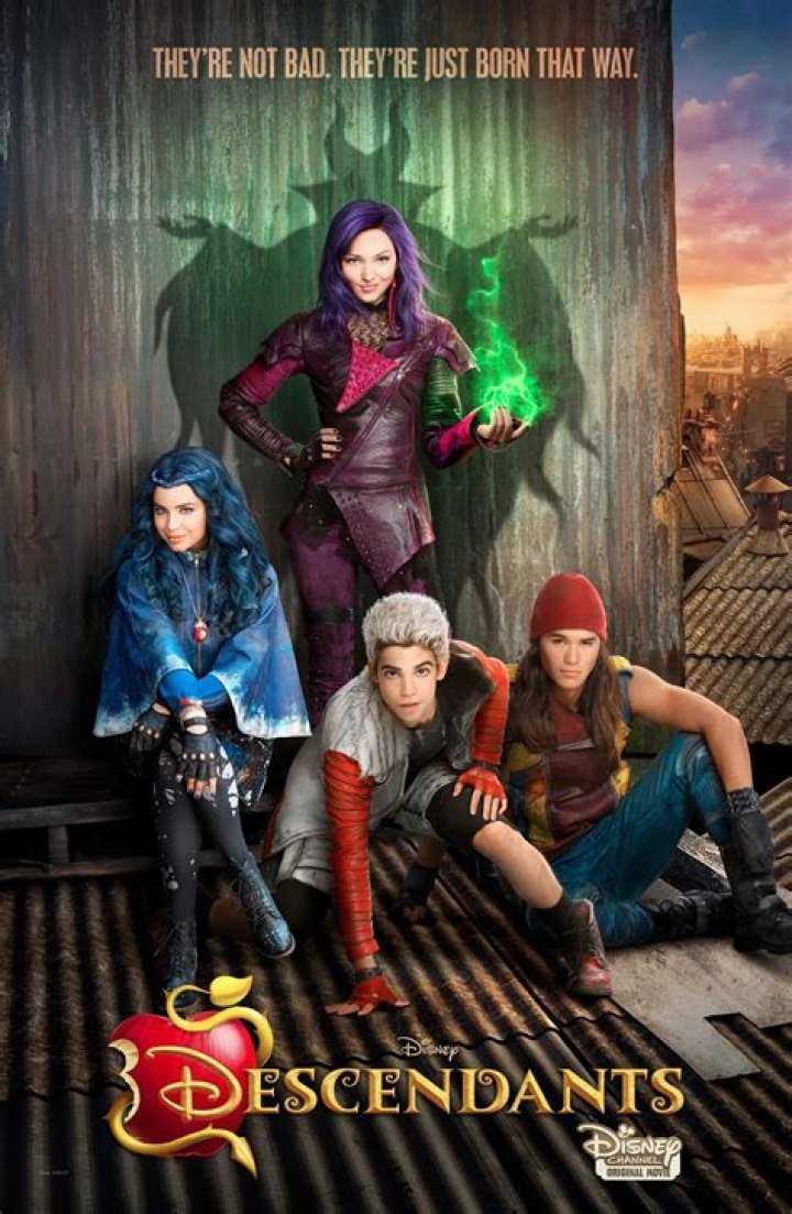 Is Disney descendants based on a book?