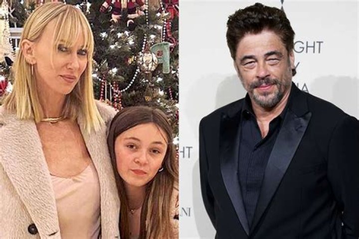 Kimberly Stewart and Benicio del Toro Pose for Rare Photo with Daughter